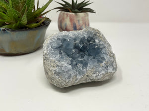 Celestite