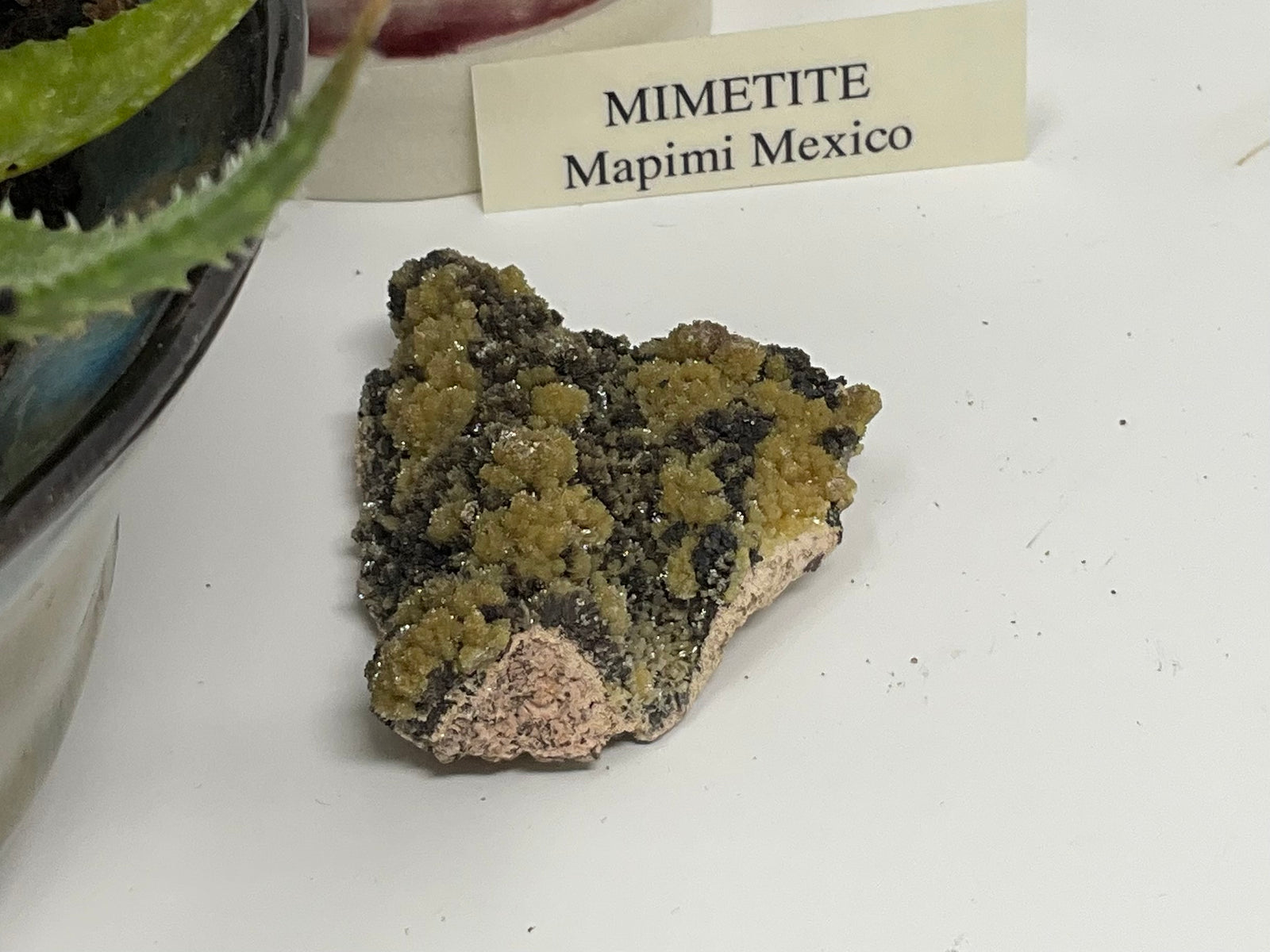 Mimetite