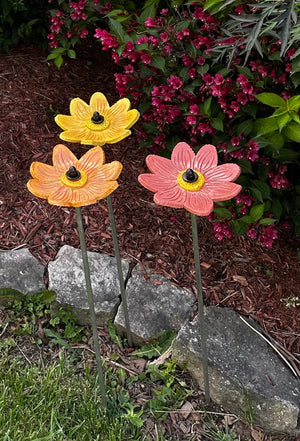 Garden Cosmos on Stake