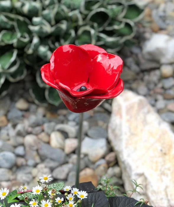 Garden Poppy on Stake