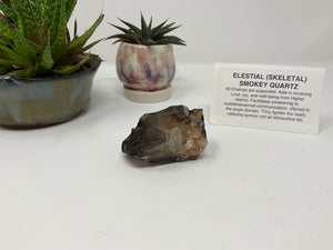 Electoral (Skeletal) Smoky Quartz