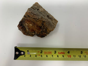 Petrified Wood