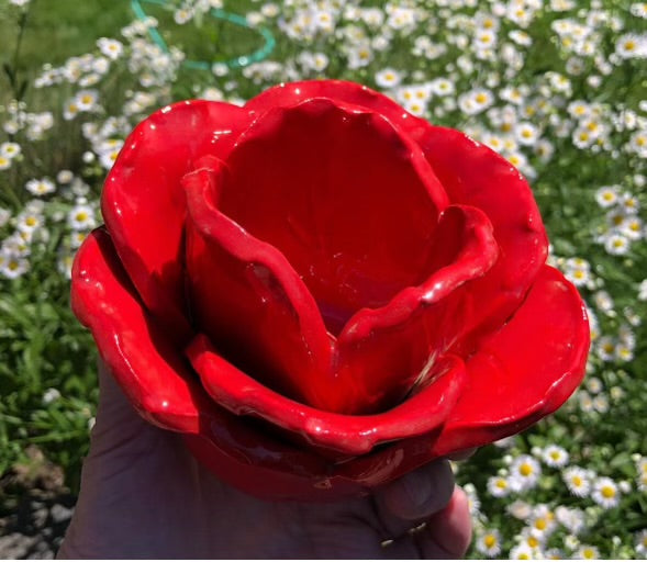 Garden Rose on Stake