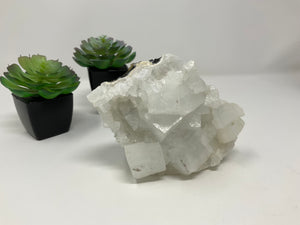 Apophyllite