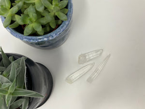 Lemurian Crystal Point