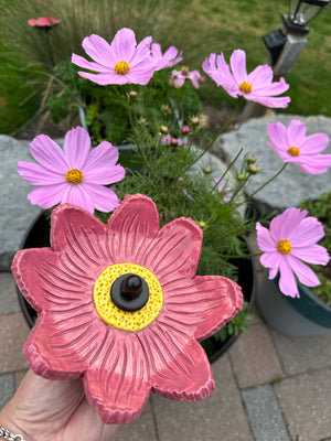 Garden Cosmos on Stake