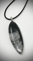 THIS PIECE IS SOLD  Pendants, Orthoceras, Pewter Beaver Tail, One of A Kind Finds